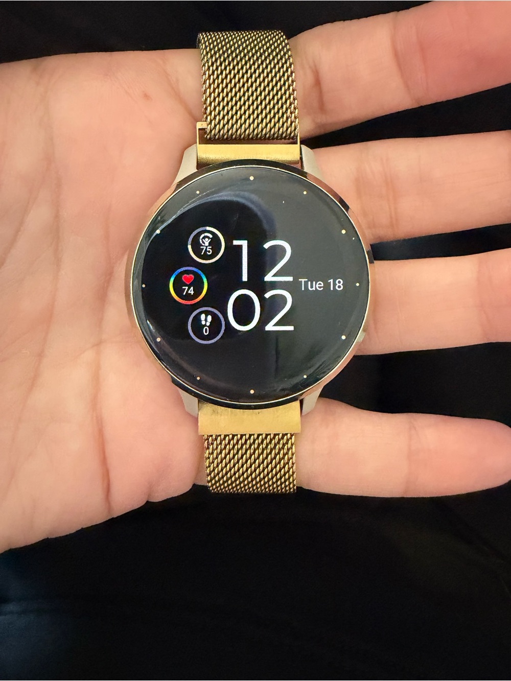 Garmin Venu 3S